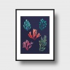 Poster Algas - Image 2