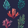 Poster Algas - Image 3