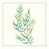 Poster Alga Marinha - Image 2